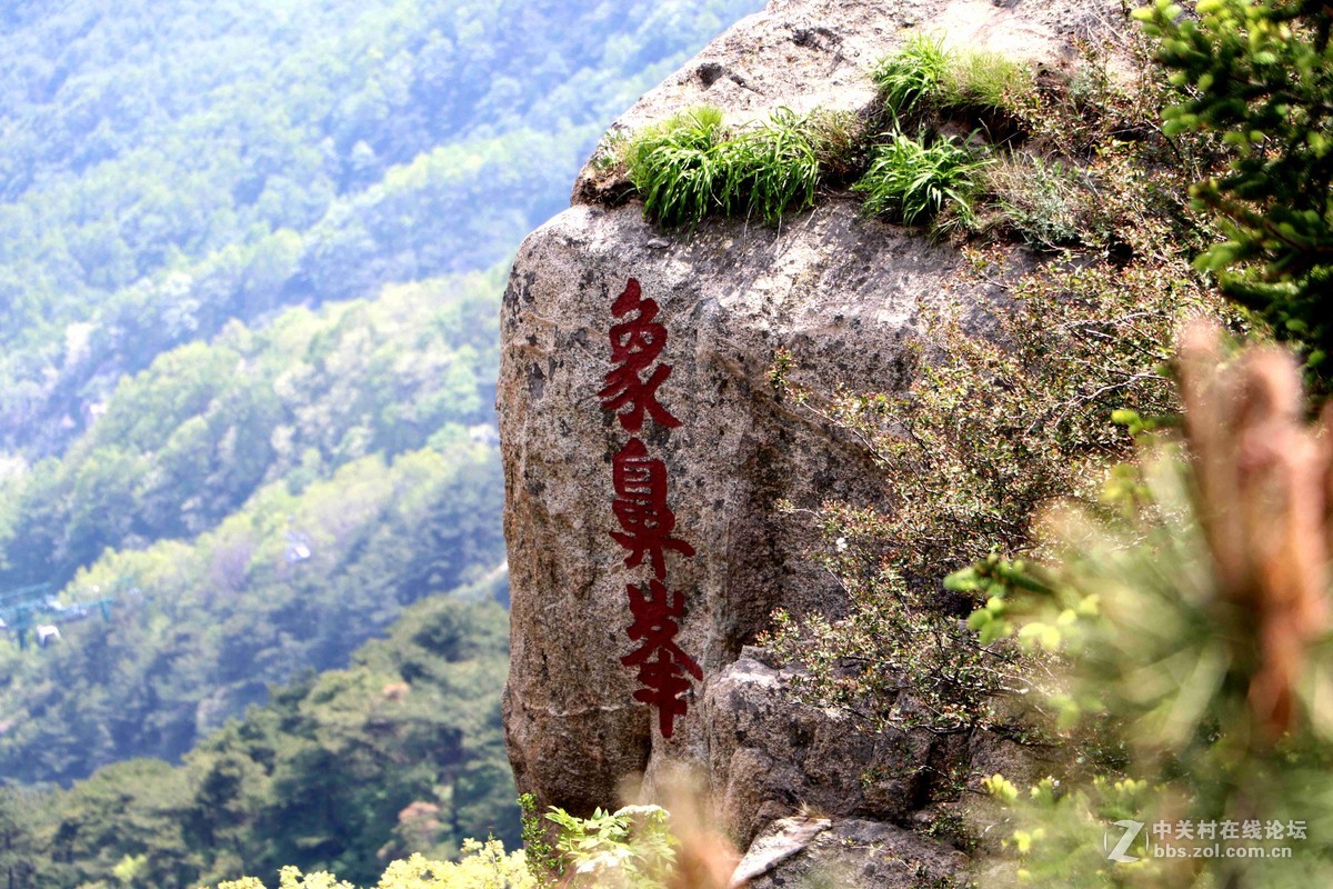 2016表白日与泰山奶奶亲密接触一把