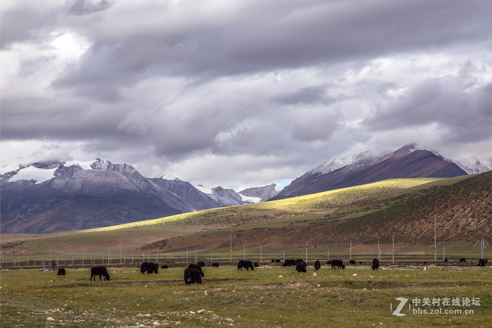 青藏线之三——唐古拉山