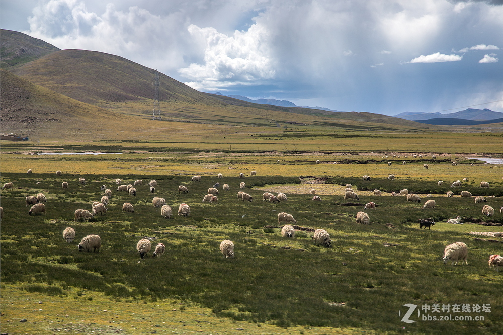 青藏线之三——唐古拉山
