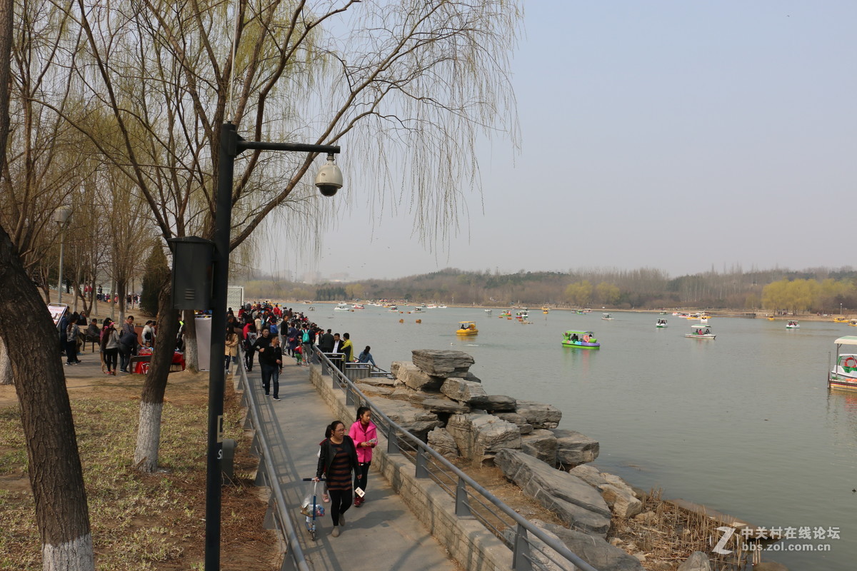 奥林匹克公园-春