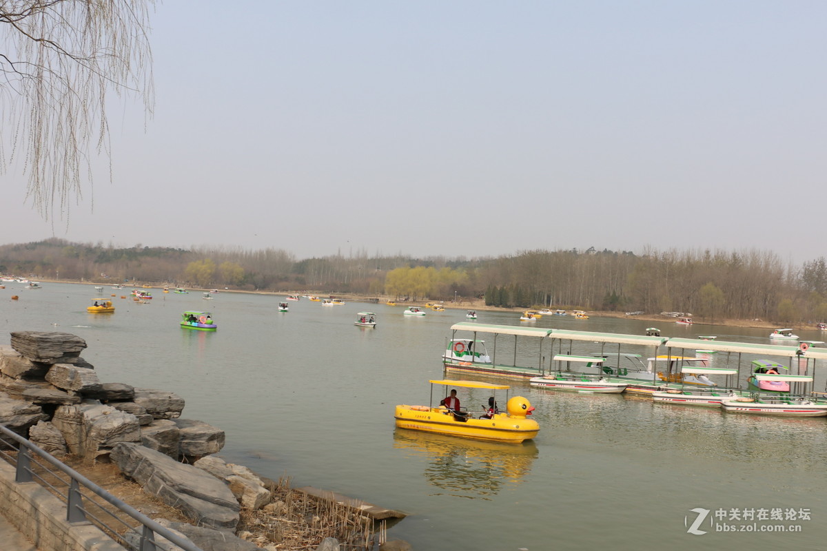 奥林匹克公园-春