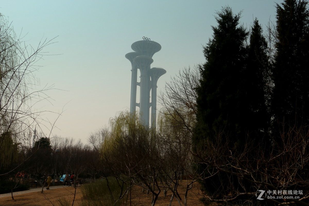 奥林匹克公园-春