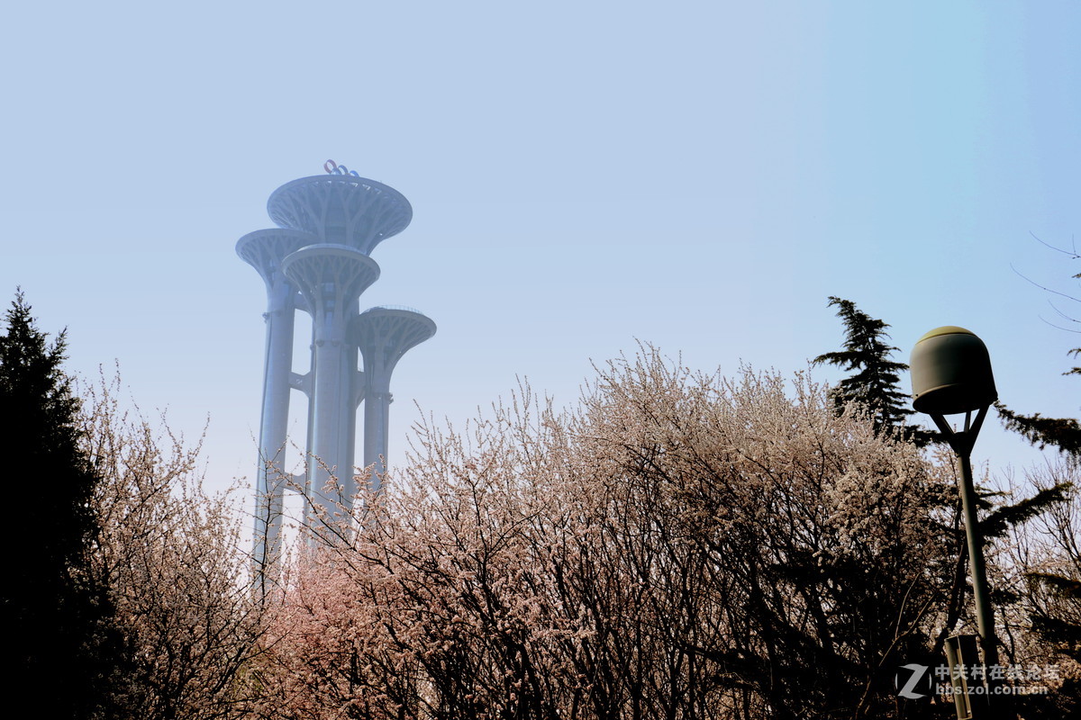 奥林匹克公园-春