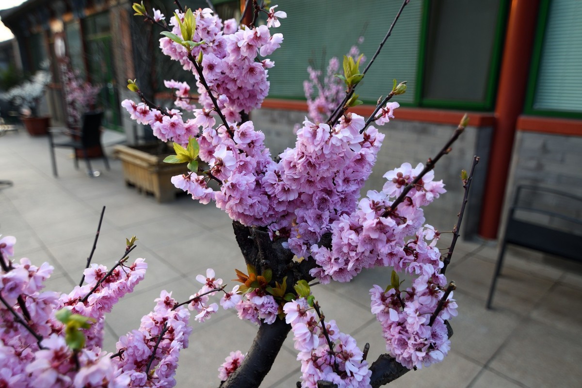 明城墙遗址公园