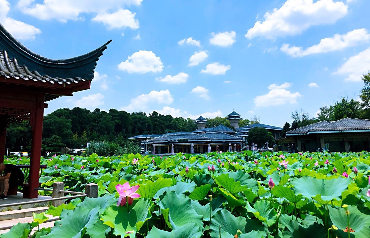 武汉东湖旅游风景区
