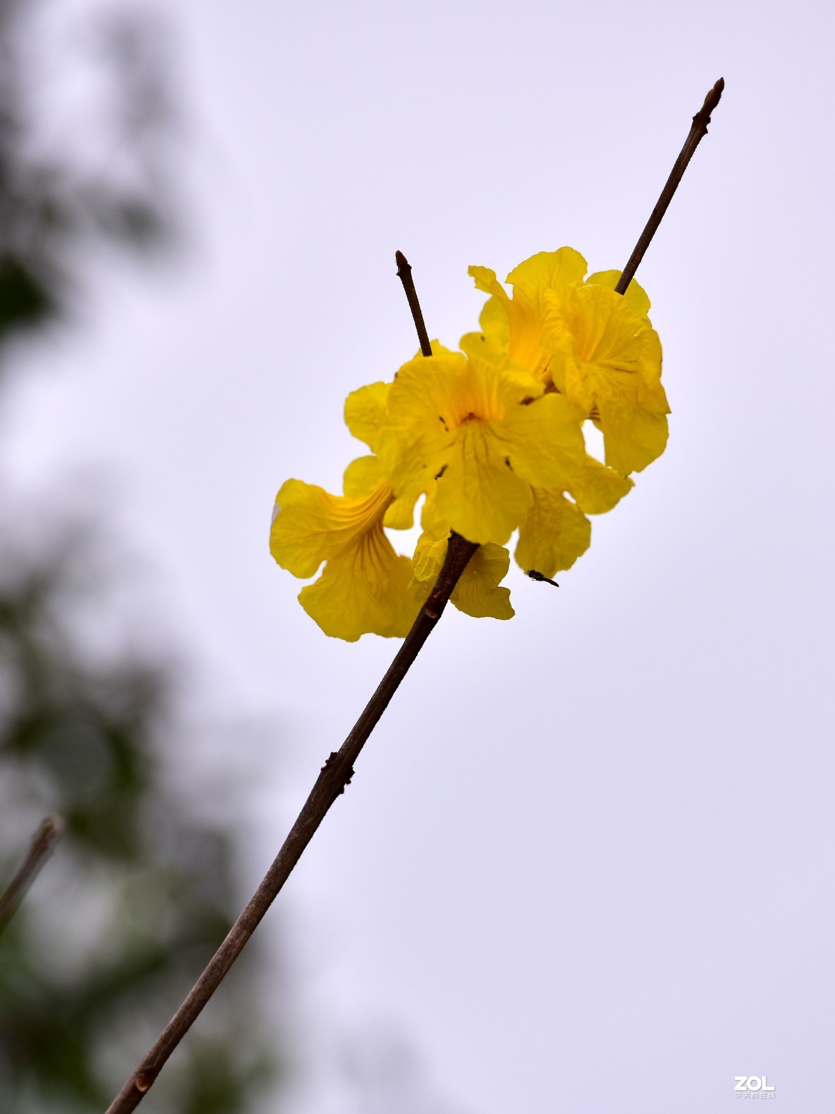 2020大年初一随拍