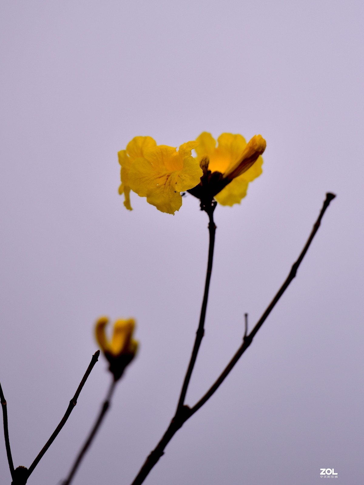 2020大年初一随拍