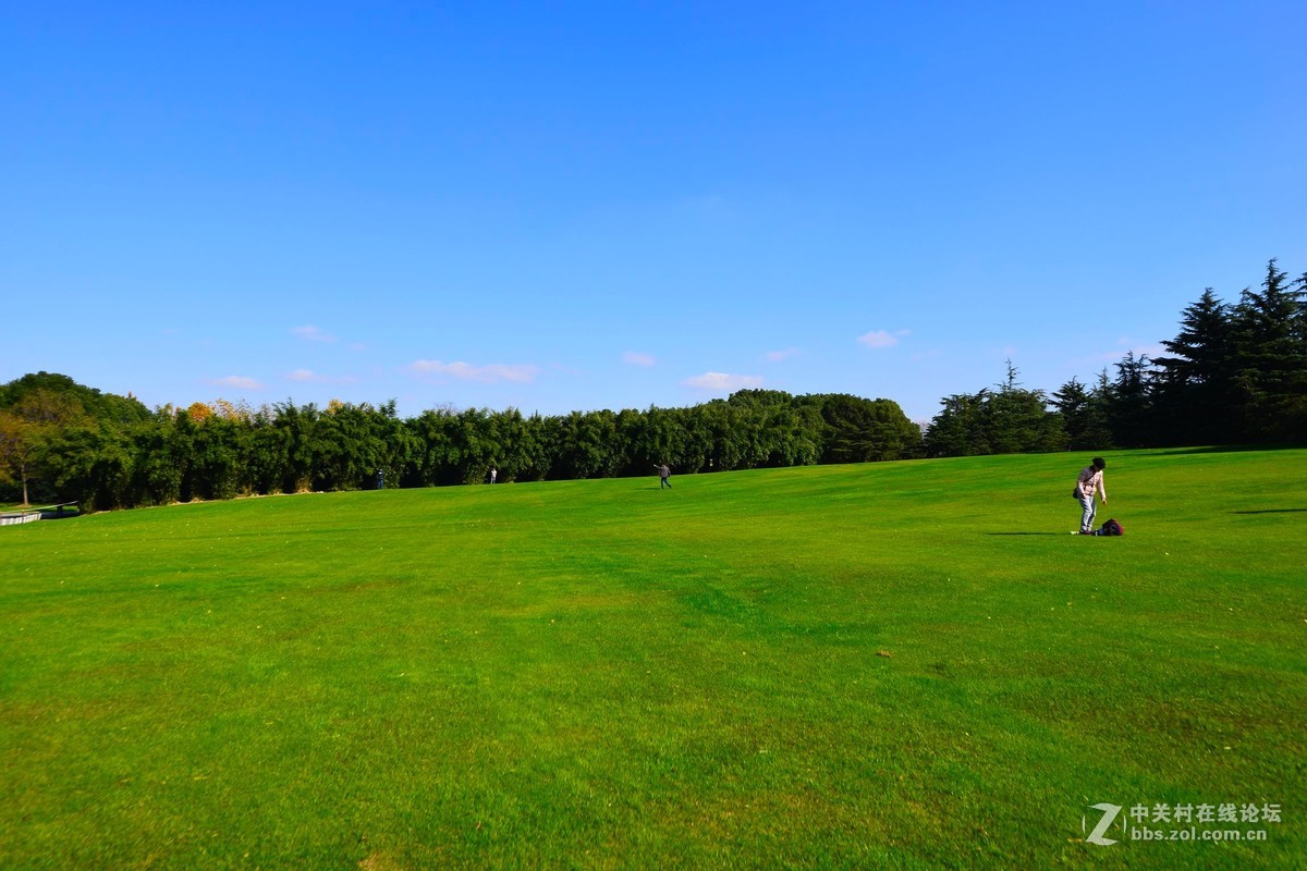 難忘的上海世紀公園秋景