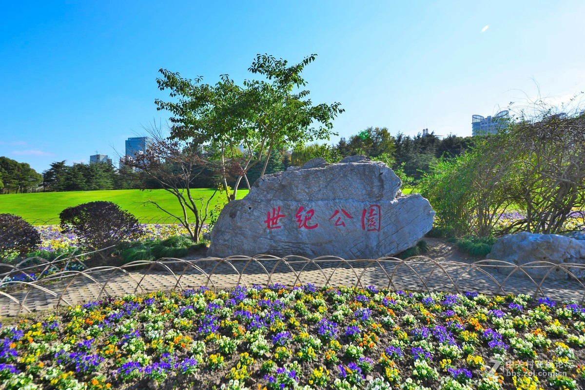 難忘的上海世紀公園秋景