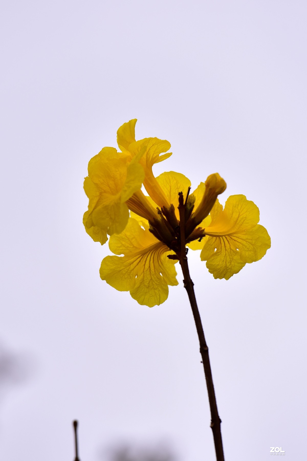 2020大年初一随拍