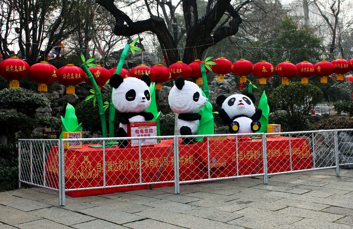 猪年末尾趵突泉灯展随拍。