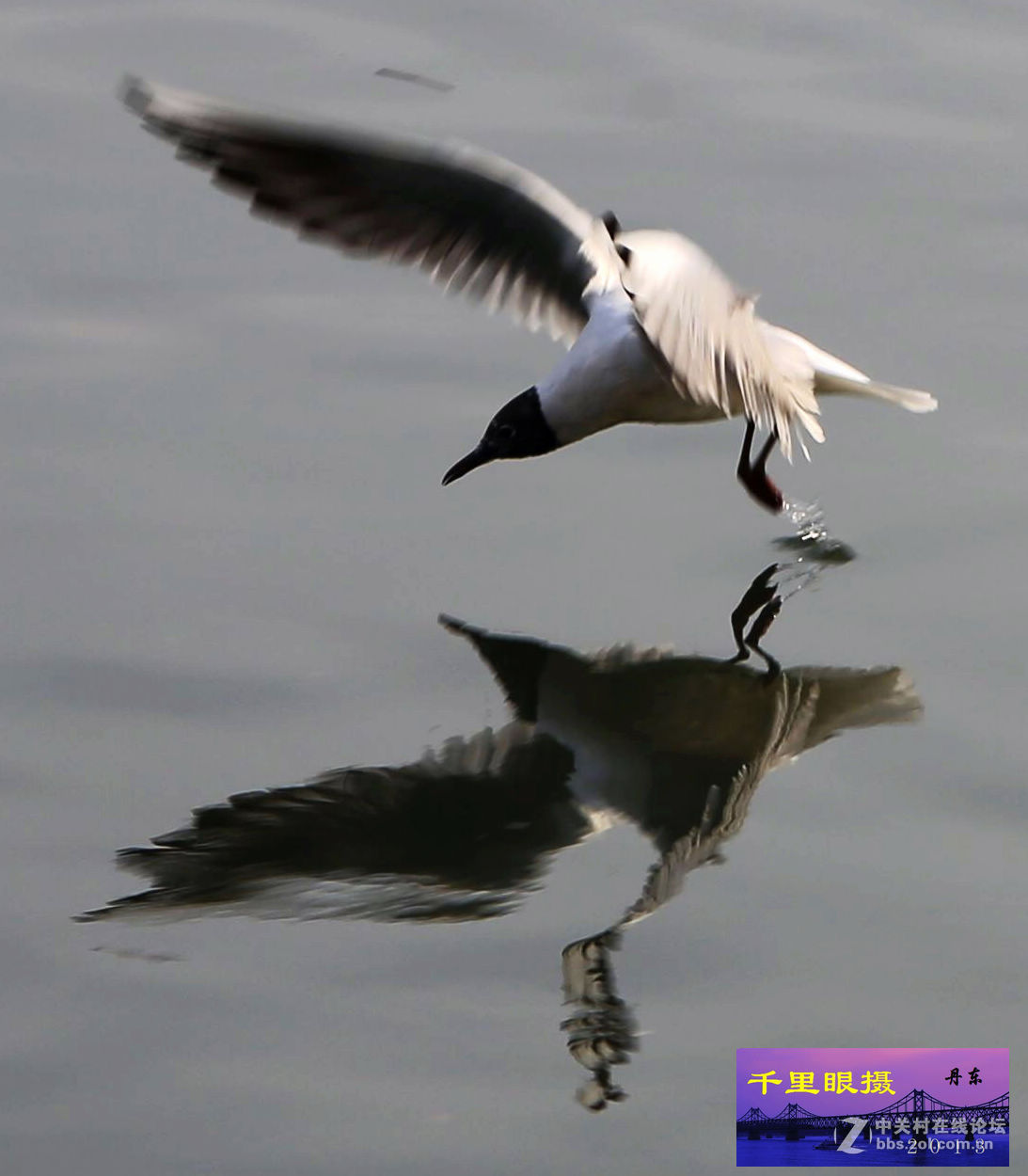 海欧