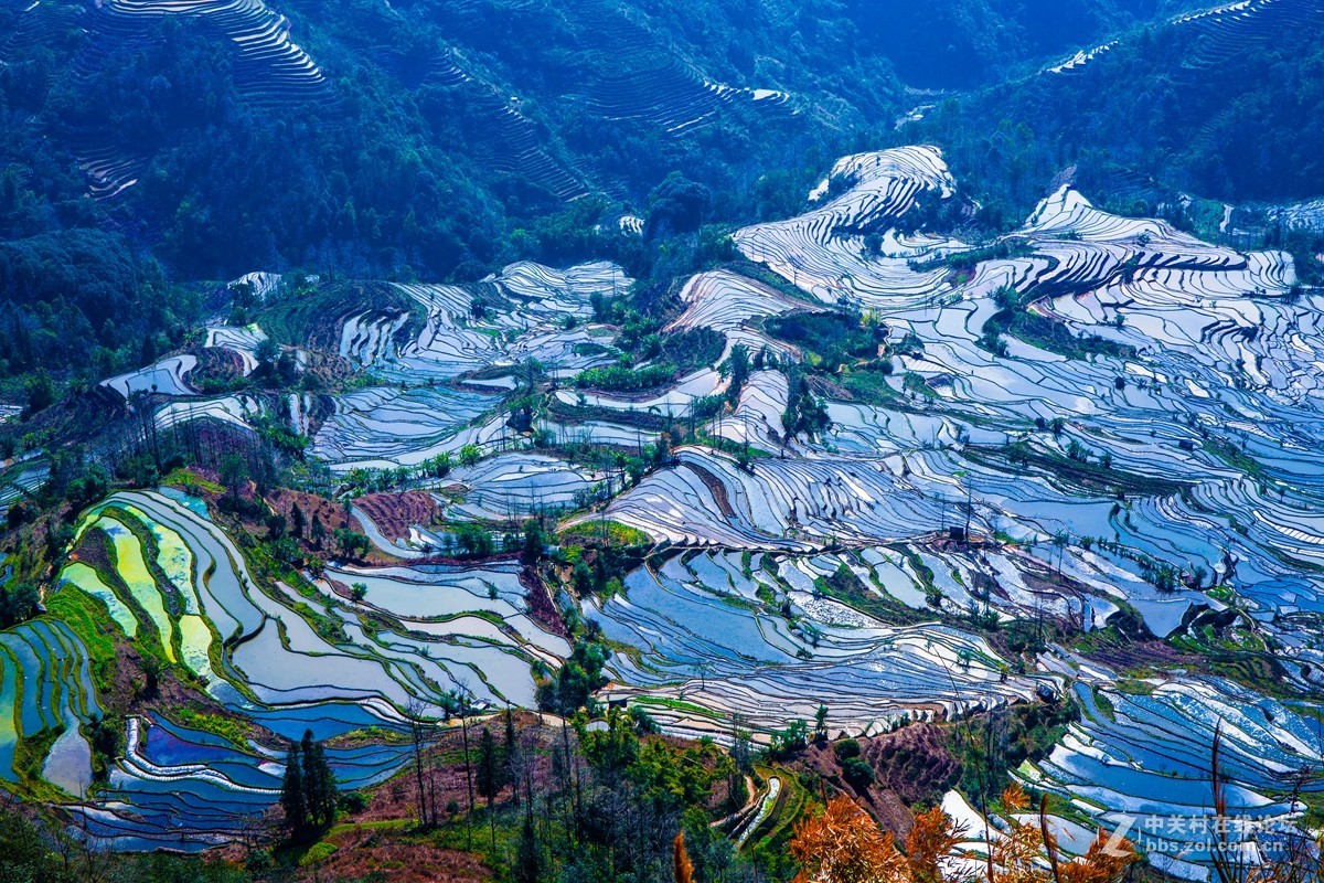 红河州元阳老虎嘴梯田