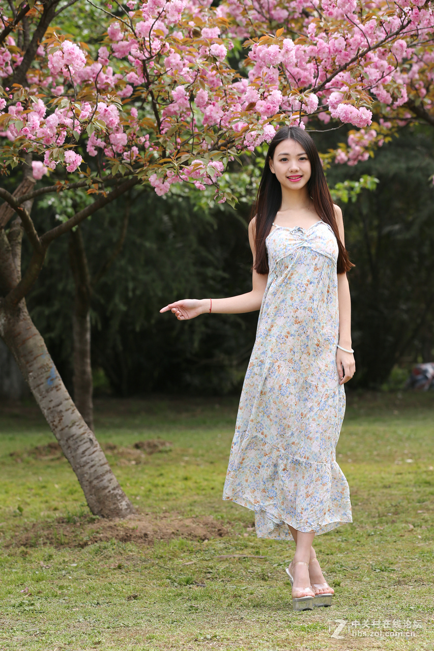 带美女贺枉入红尘好友荣任昭通论坛版主