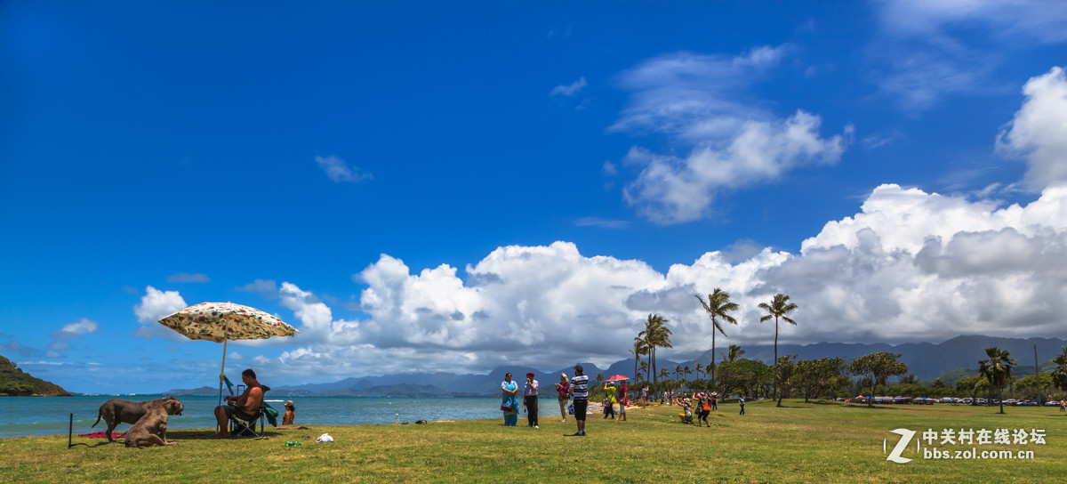 #版主坐堂#  2016年4月《佳能EF 24-105mm f/4L  IS USM镜头》星空(中国)优秀作品选编