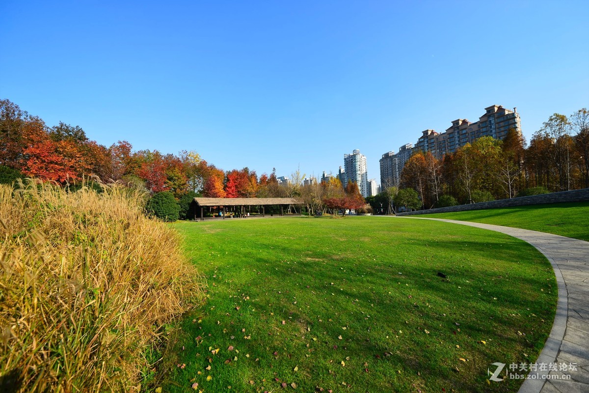 難忘的上海世紀公園秋景