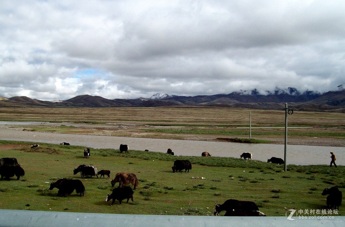 2018夏 川新藏（117）昂仁县