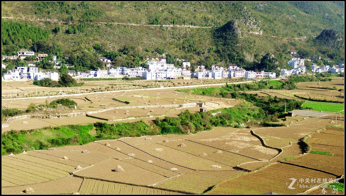万峰林（手机版）