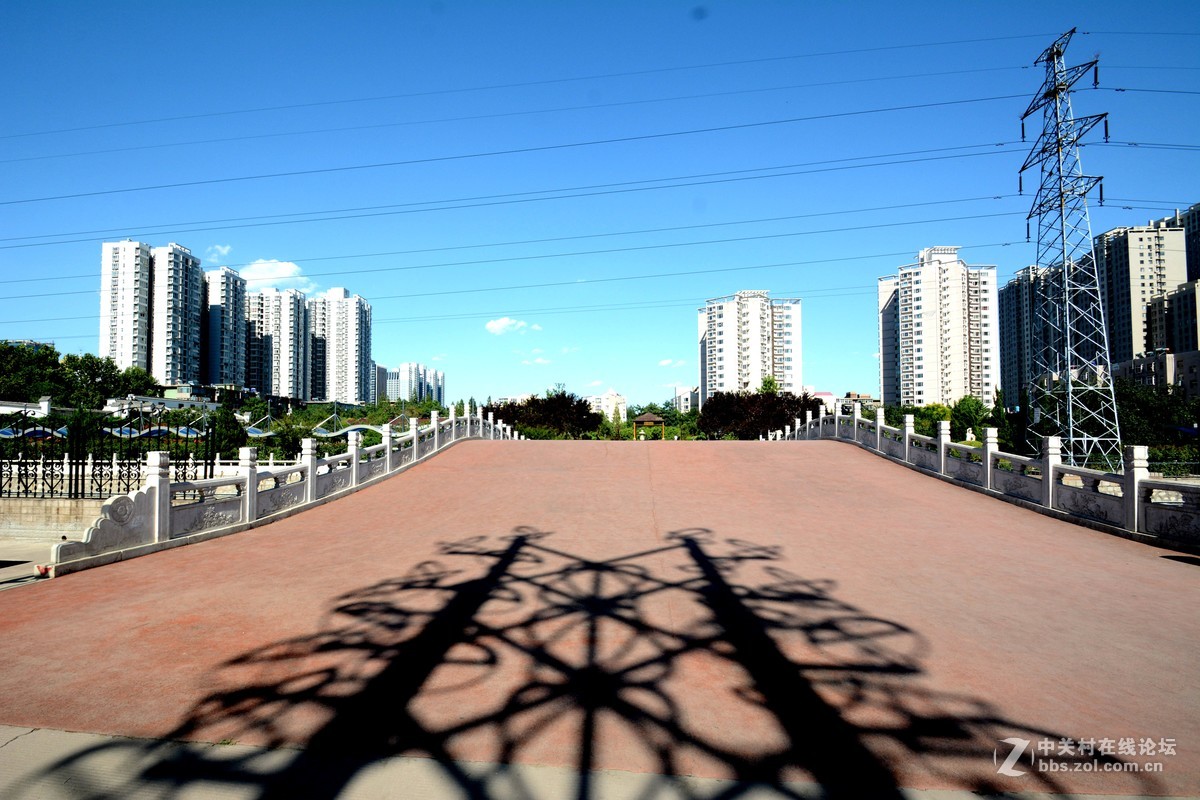 腾龙10-24 石家庄花卉园