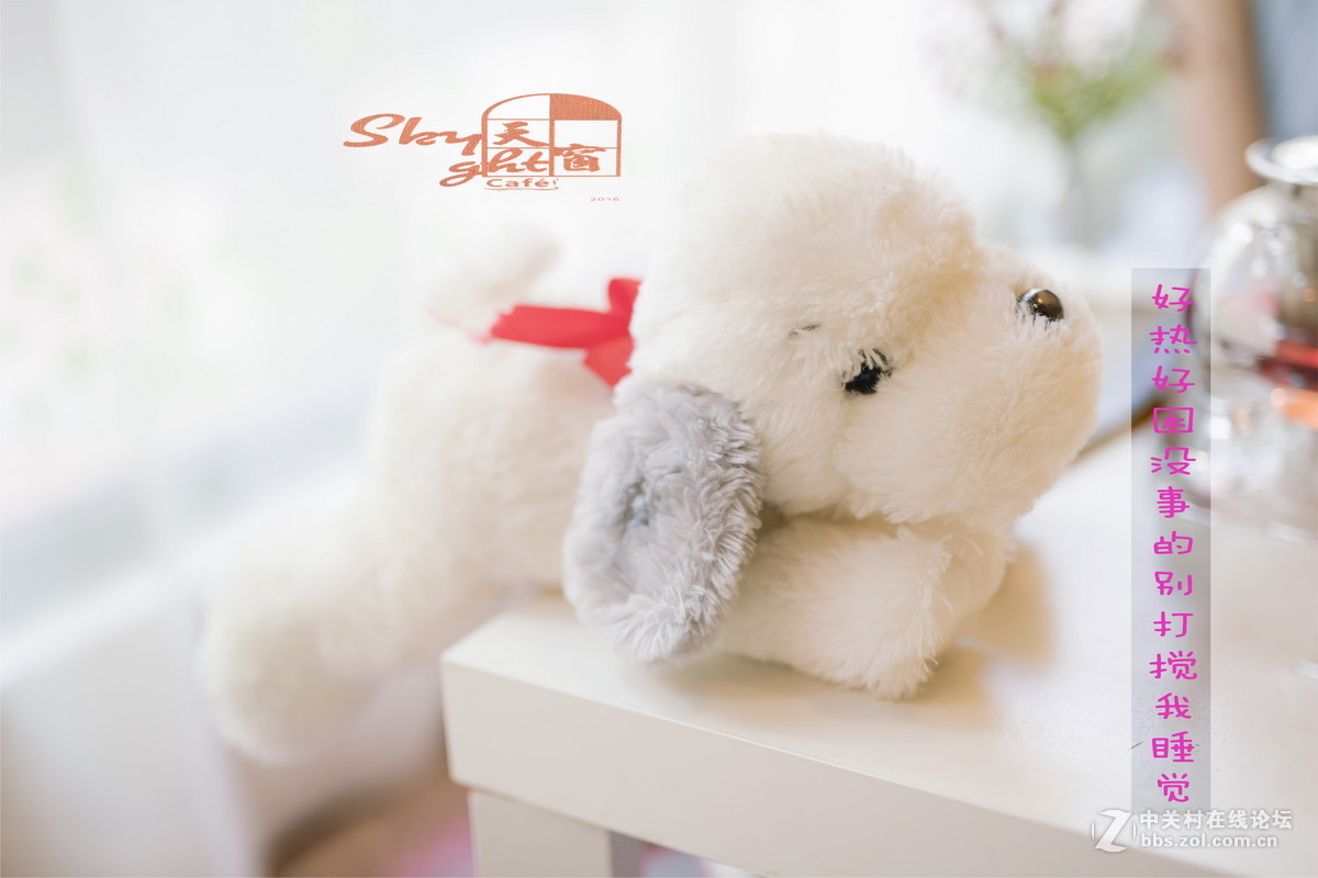 适马50MM F1.4ART...{天窗咖啡馆PHOTO}人像