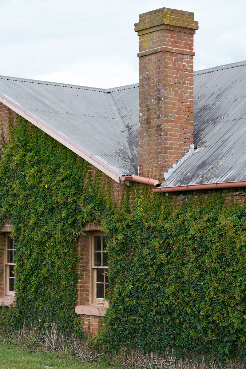 详细介绍Photozone对FE 90mm F2.8/ G OSS Macro的测试（有例照）