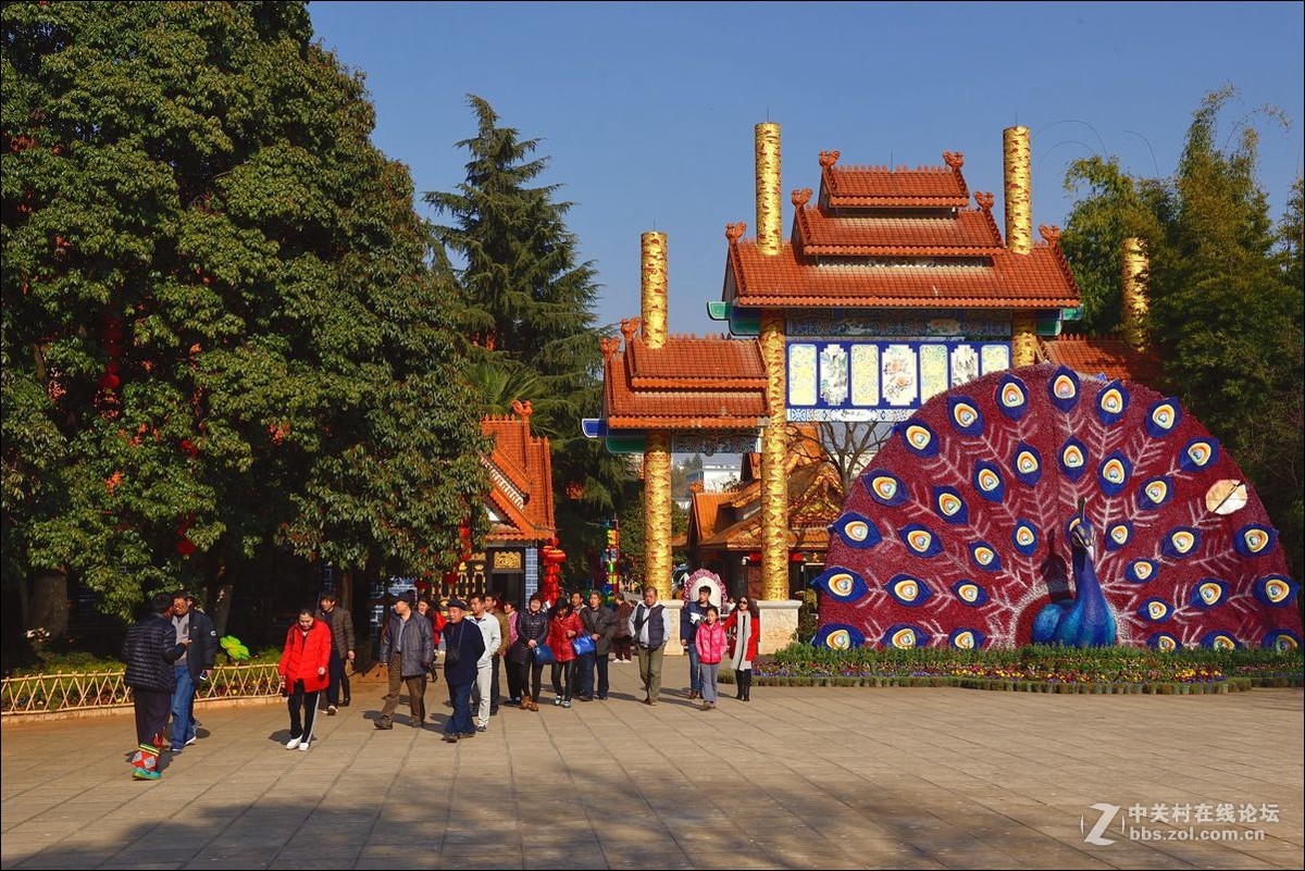 休闲随拍（313）