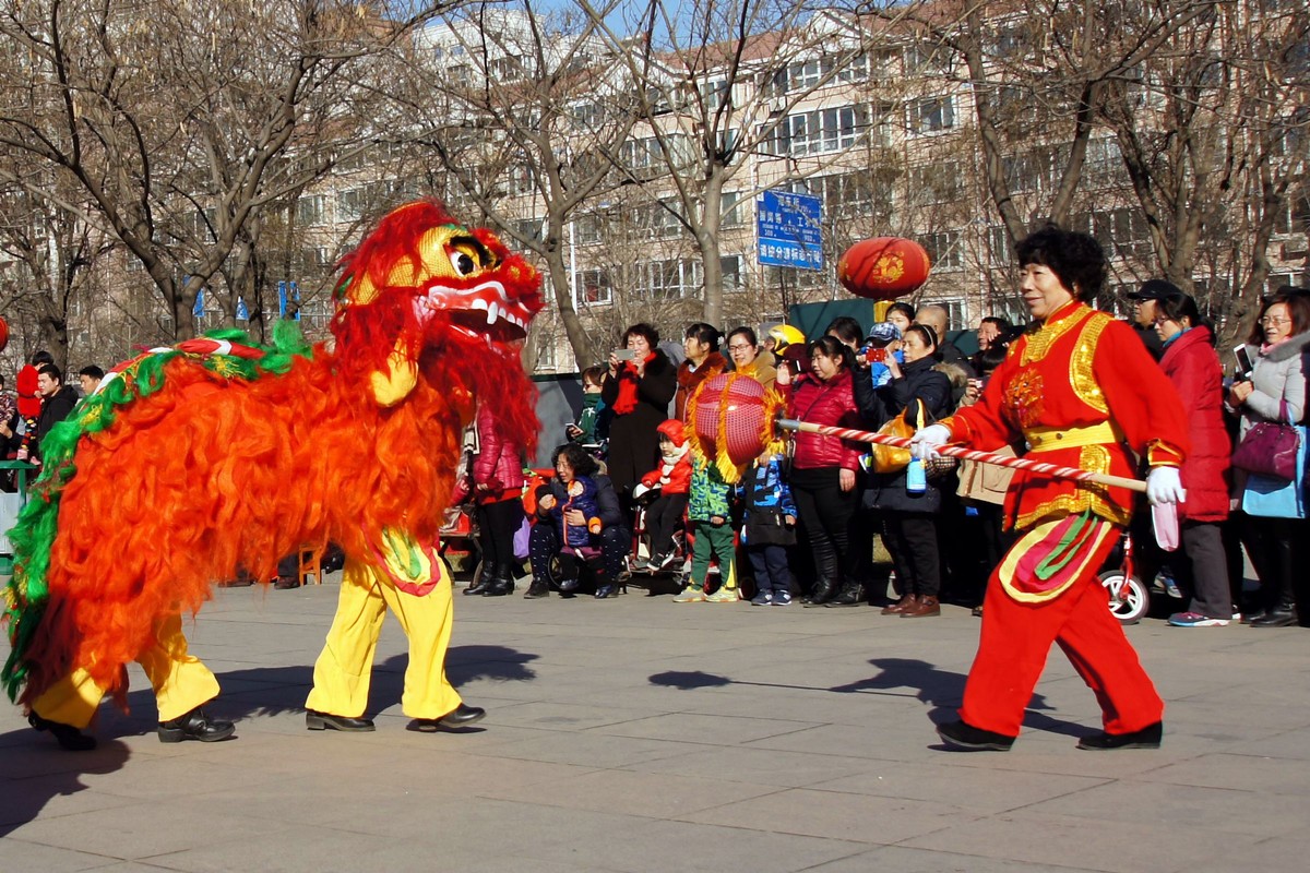 2017桥西区《盛世欢歌文化游园》—戏狮