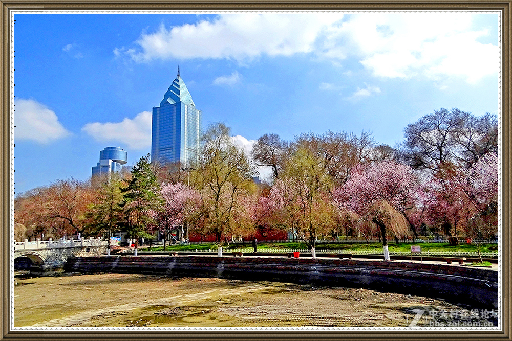 【在那山桃花盛开的地方】