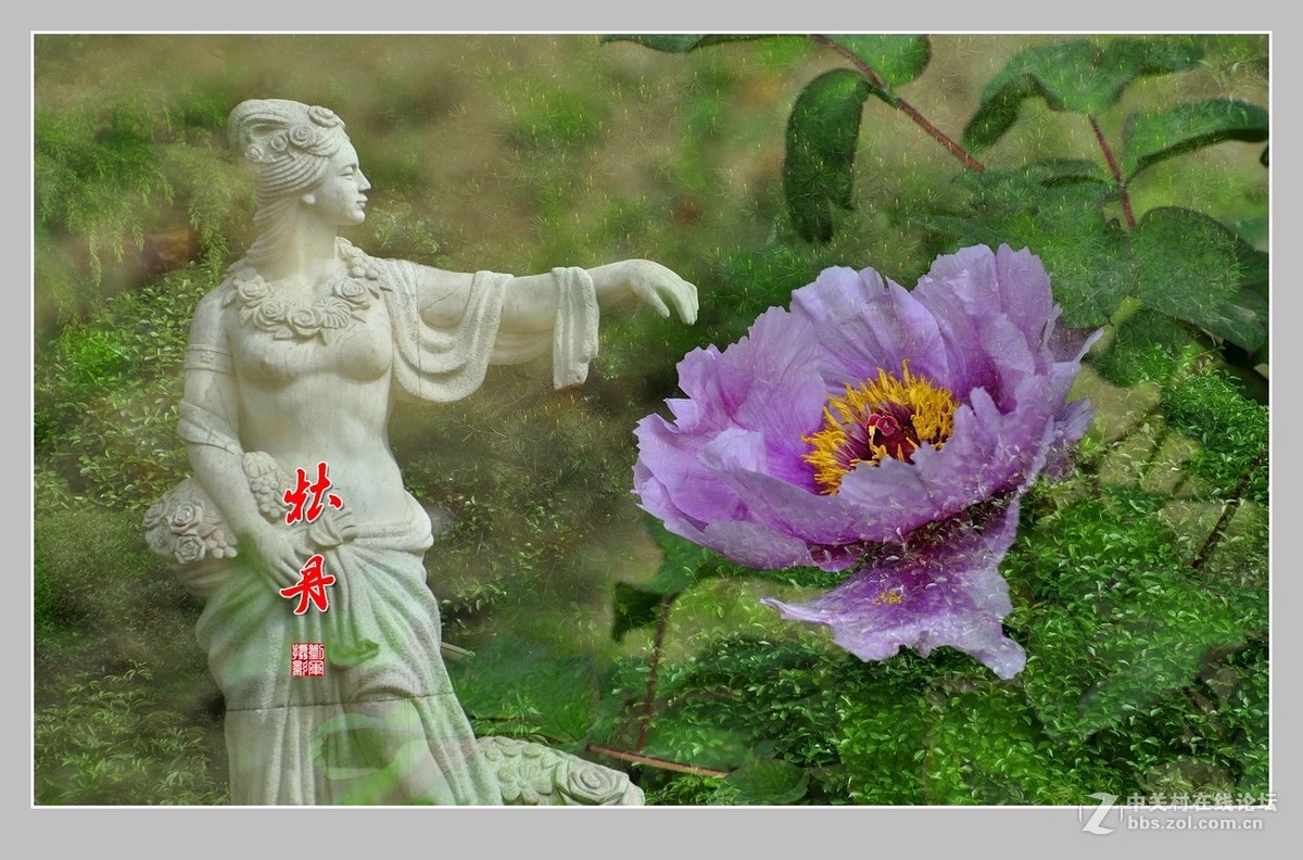 #ZOL月赛-春暖花开#牡丹图（2）