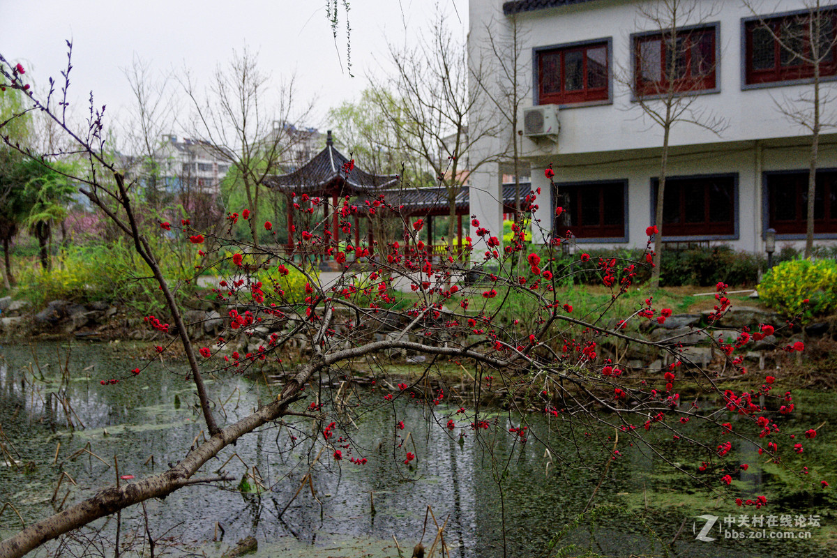 阳春三月万物复苏