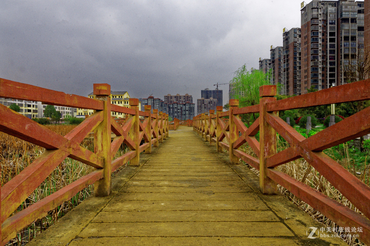 阳春三月万物复苏