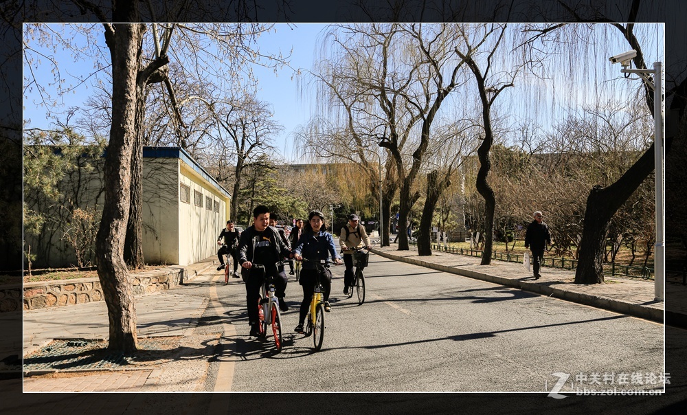 #佳能月赛-与佳能一起去踏青#水木清华柳鹅黄