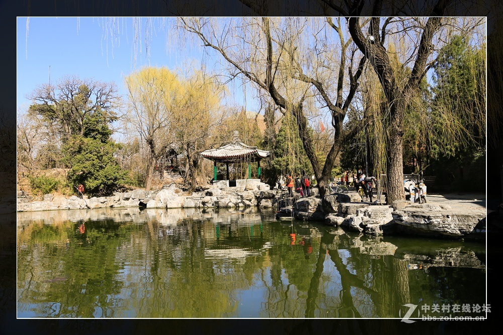 #佳能月赛-与佳能一起去踏青#水木清华柳鹅黄