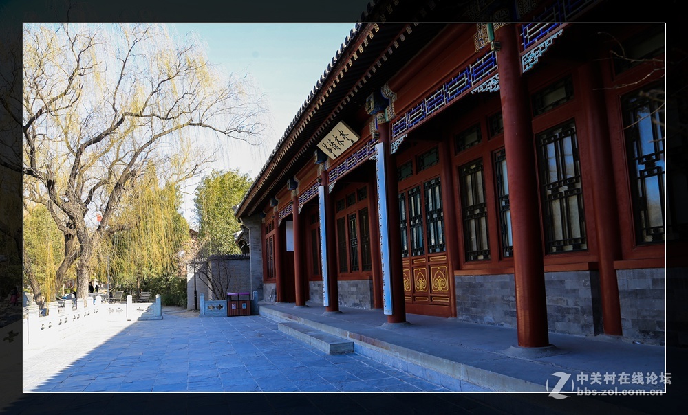 #佳能月赛-与佳能一起去踏青#水木清华柳鹅黄