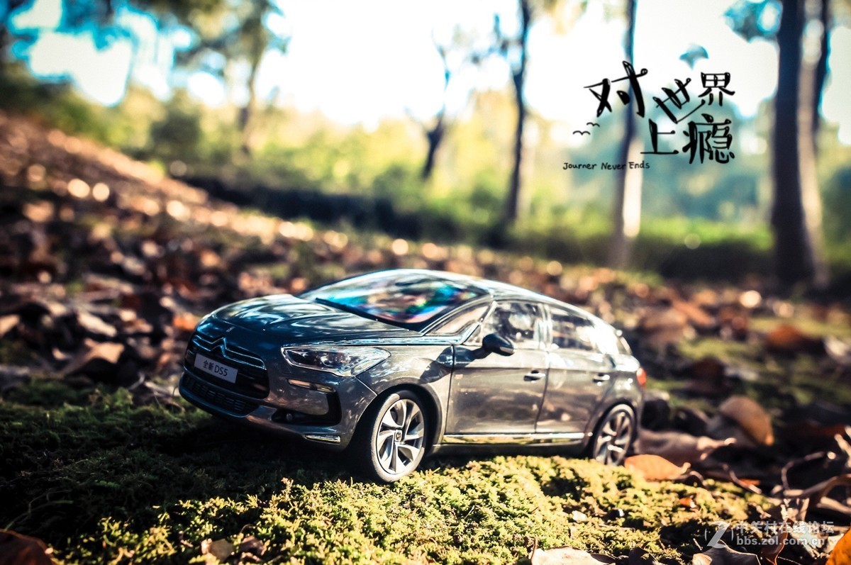 此车模非彼车模