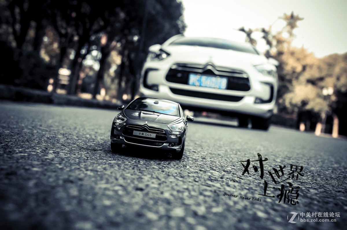 此车模非彼车模