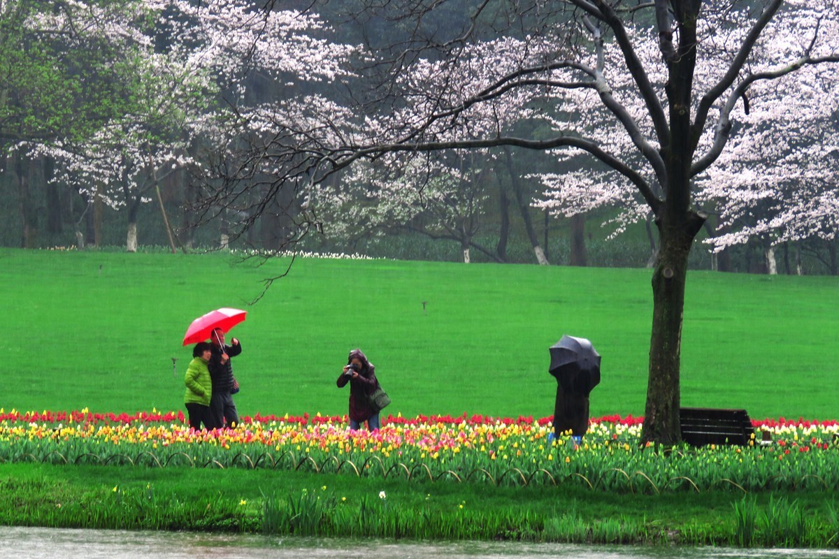 绵绵不断的春雨中