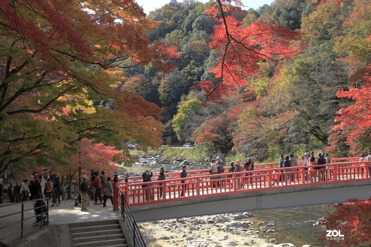 日本嵐山風景