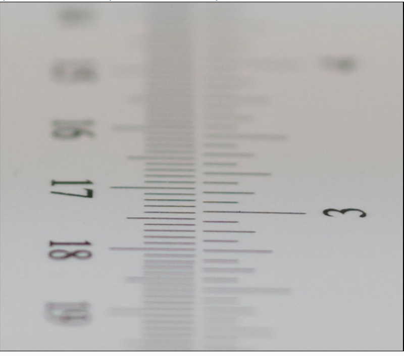 详细介绍Photozone对FE 90mm F2.8/ G OSS Macro的测试（有例照）