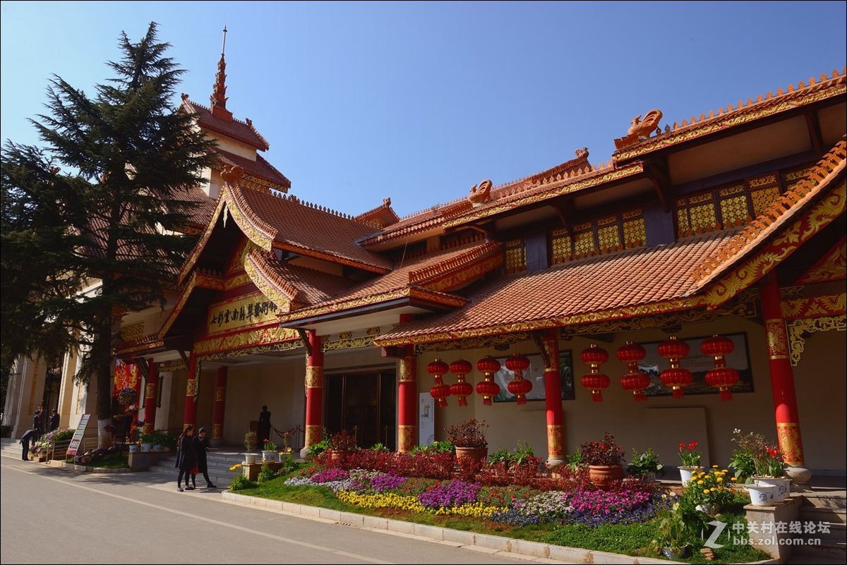 休闲随拍（313）