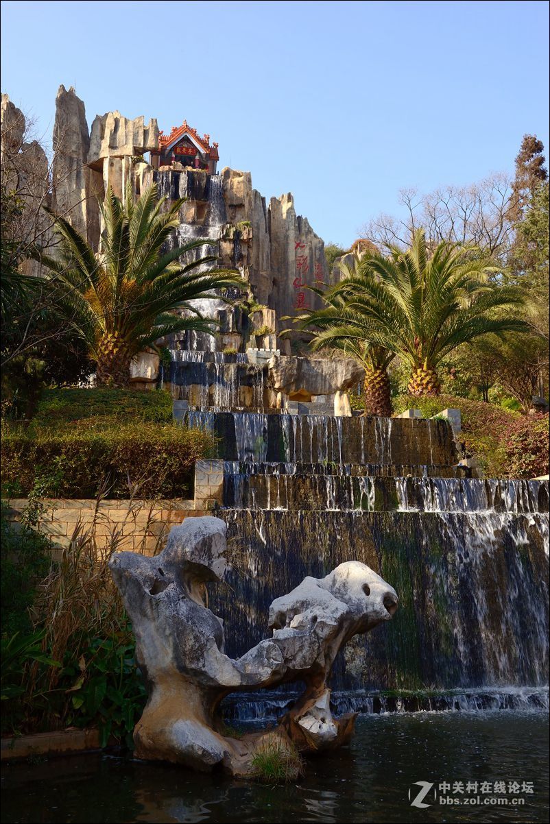 休闲随拍（313）