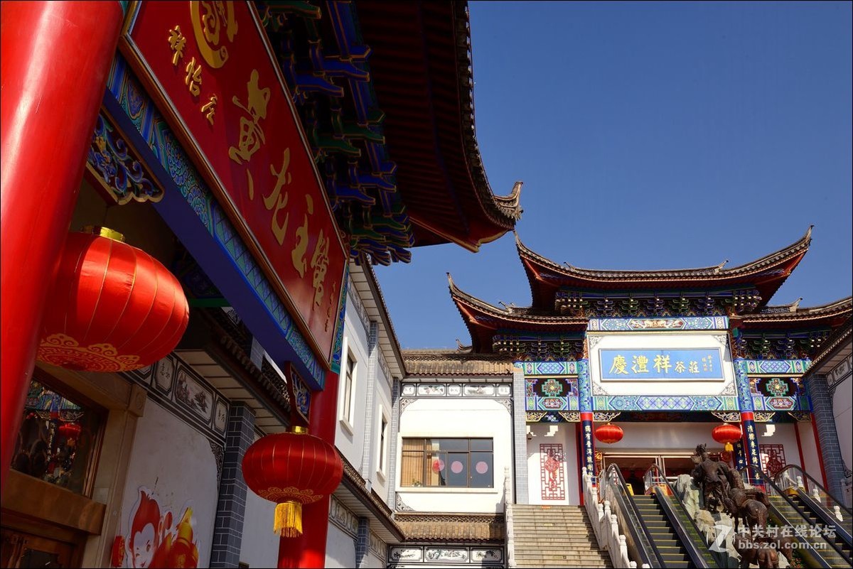 休闲随拍（313）