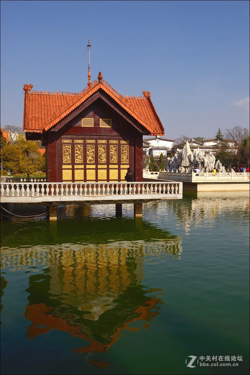 休闲随拍（313）