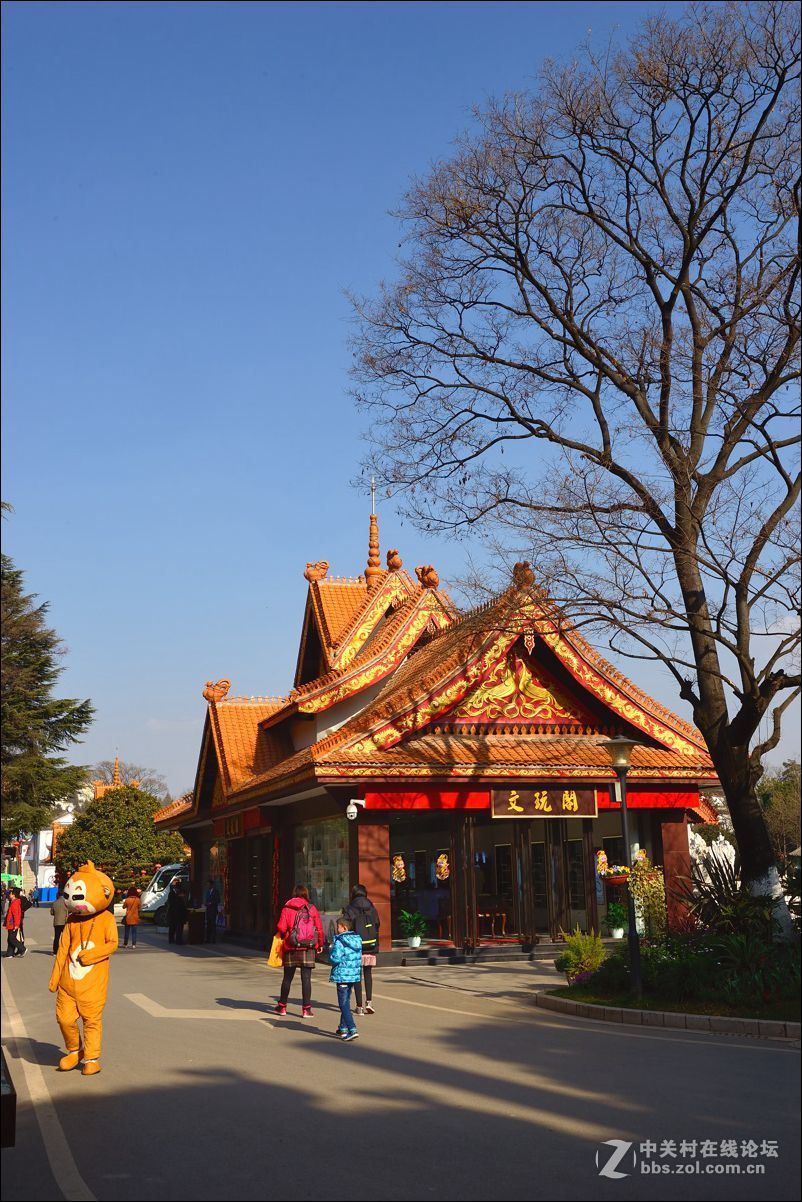 休闲随拍（313）