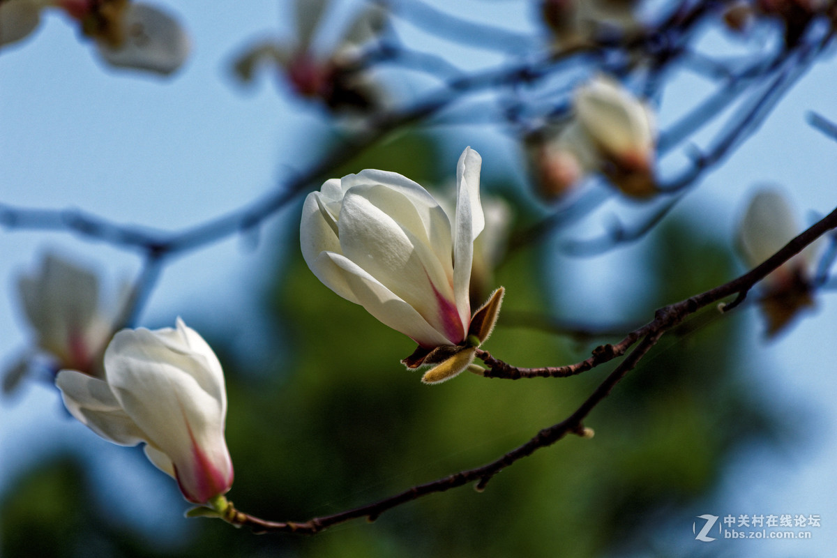 阳春三月万物复苏