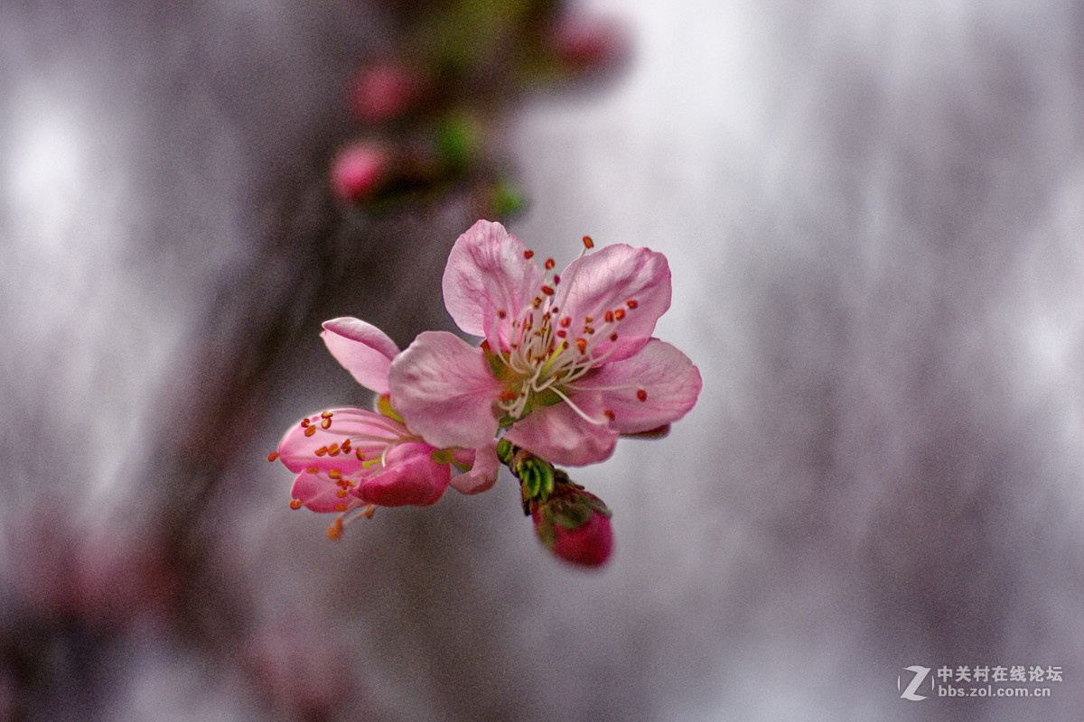 阳春三月万物复苏