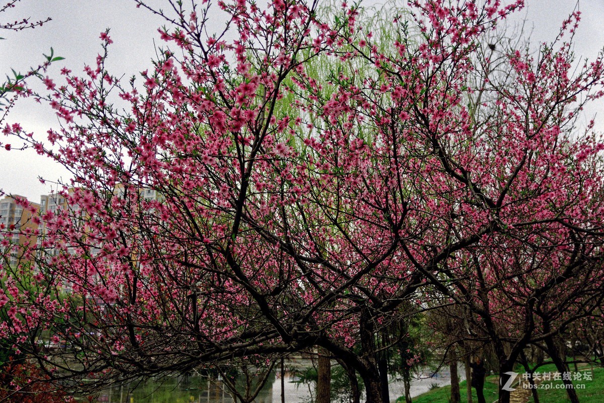 阳春三月万物复苏