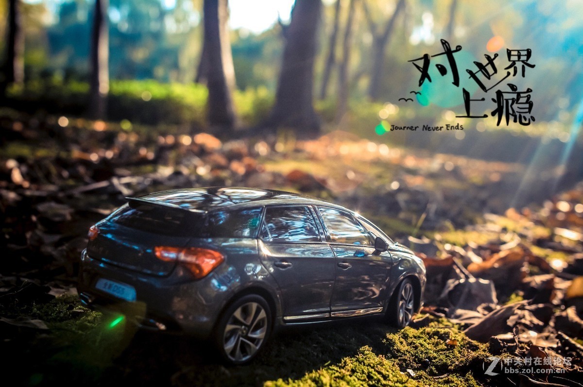 此车模非彼车模