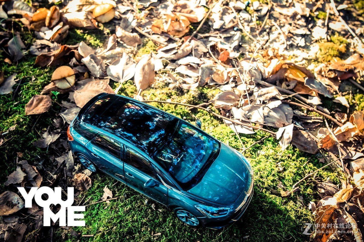 此车模非彼车模