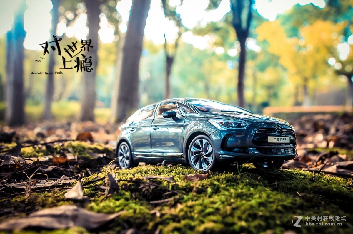 此车模非彼车模